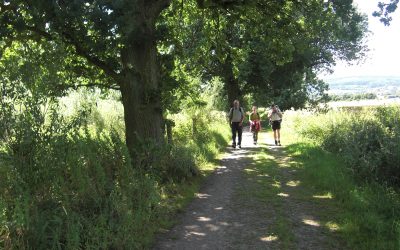 Von Pilgern bis Gregorianik: Diverse Tour-Angebote auf dem Sigwardsweg