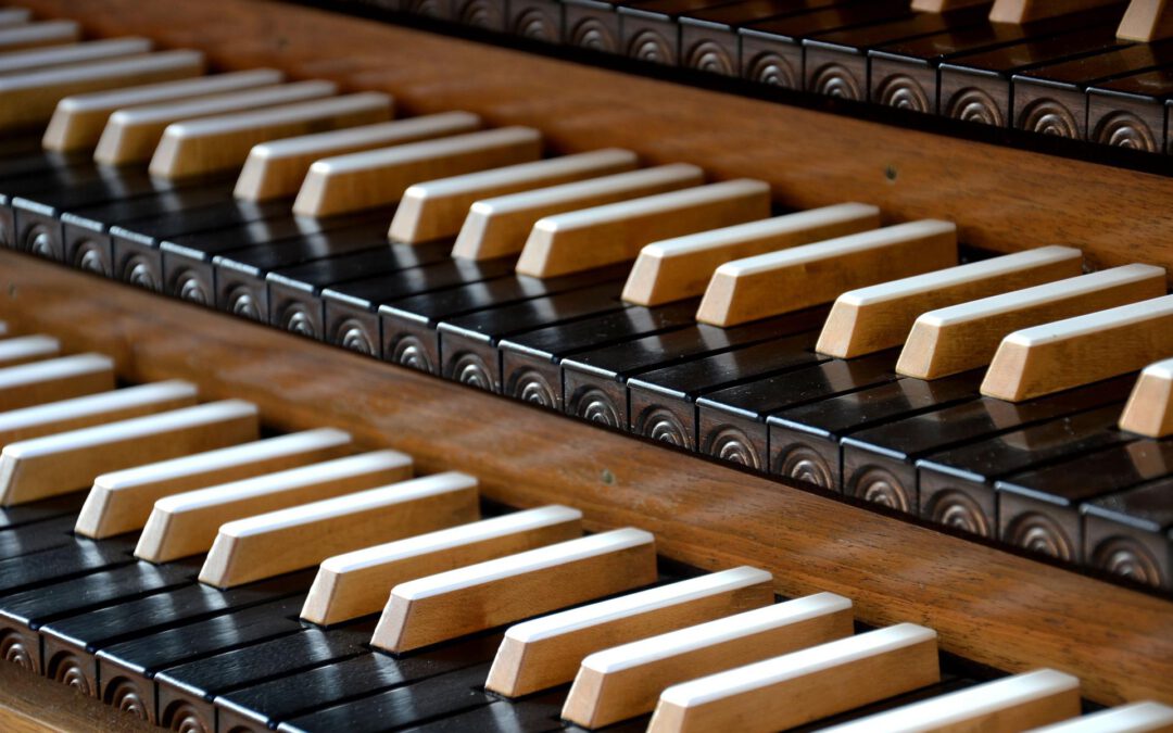 Benefiz-Orgelkonzert in der Petrikirche in Petershagen